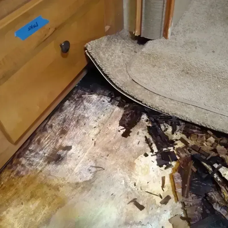 Wood Floor Water Damage in Chilton, WI